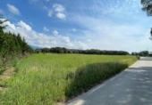 Terreno no urbanizable en venta en la España, Cardedeu, ref: TR235580 foto