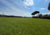 Terreno no urbanizable en venta en la España, Cardedeu, ref: TR235580 foto