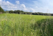 Terreno no urbanizable en venta en la España, Cardedeu, ref: TR235580 foto