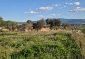 Parcela urbanizable en venta en la España, L'Olleria, ref: TR353254 foto