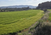 Parcela urbanizable en venta en la España, L'Olleria, ref: TR353254 foto