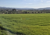 Parcela urbanizable en venta en la España, L'Olleria, ref: TR353254 foto