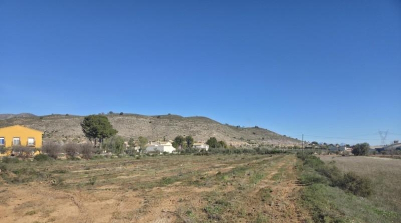 Alicante - Elche - 6100m2