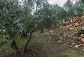 Pinos del Valle 9018&nbsp;m²