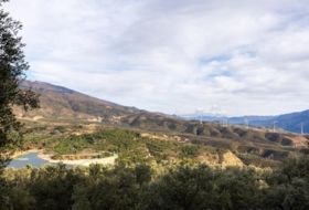 Pinos del Valle 9018&nbsp;m²