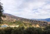 Non-developable land for sale on España, Pinos del Valle, ref: TR413820 photo