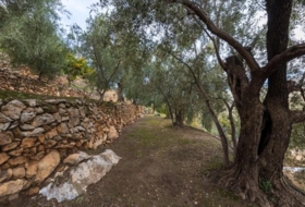 Pinos del Valle 9018&nbsp;m²