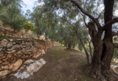 Non-developable land for sale on España, Pinos del Valle, ref: TR413820 photo