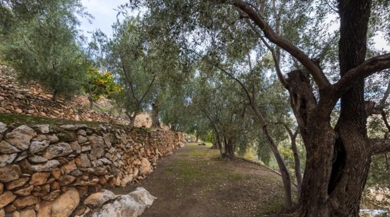 Granada - Pinos del Valle - 9018m2
