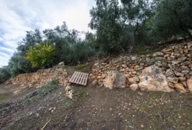 Pinos del Valle 9018&nbsp;m²