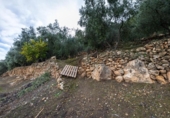 Non-developable land for sale on España, Pinos del Valle, ref: TR413820 photo