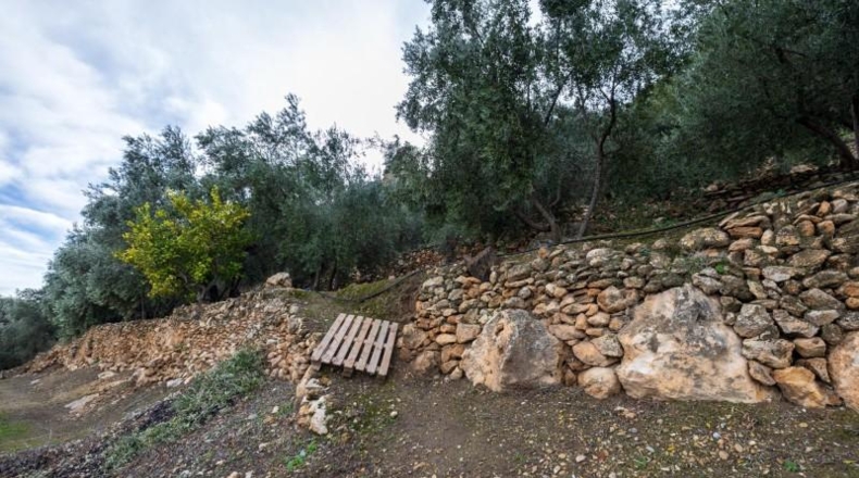 Granada - Pinos del Valle - 9018m2