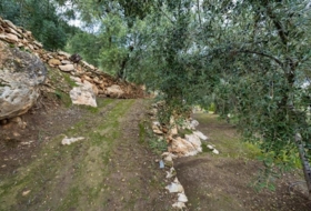 Pinos del Valle 9018&nbsp;m²