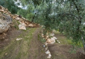 Non-developable land for sale on España, Pinos del Valle, ref: TR413820 photo