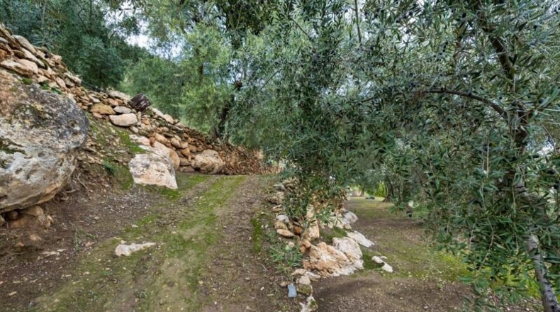 Granada - Pinos del Valle - 9018m2