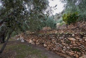 Pinos del Valle 9018&nbsp;m²