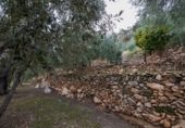 Non-developable land for sale on España, Pinos del Valle, ref: TR413820 photo