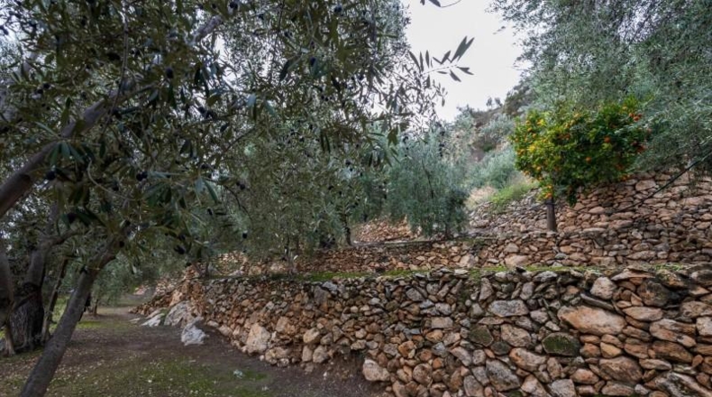 Granada - Pinos del Valle - 9018m2