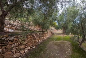 Pinos del Valle 9018&nbsp;m²