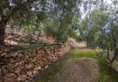 Non-developable land for sale on España, Pinos del Valle, ref: TR413820 photo