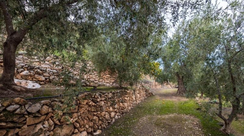 Granada - Pinos del Valle - 9018m2