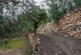 Pinos del Valle 9018&nbsp;m²