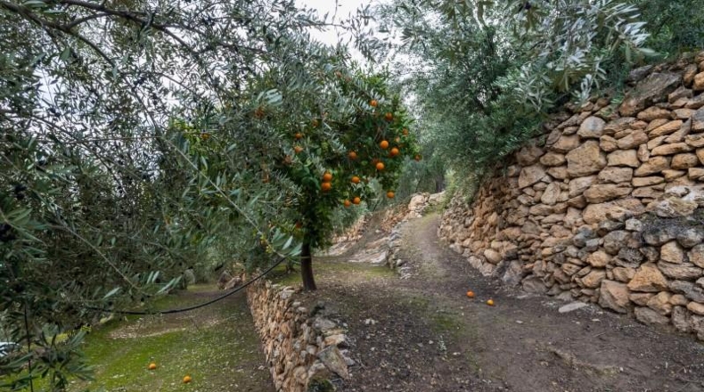 Granada - Pinos del Valle - 9018m2