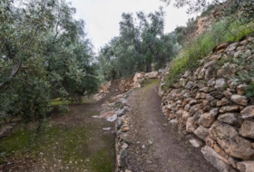 Pinos del Valle 9018&nbsp;m²