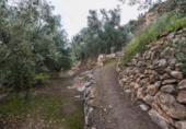 Non-developable land for sale on España, Pinos del Valle, ref: TR413820 photo