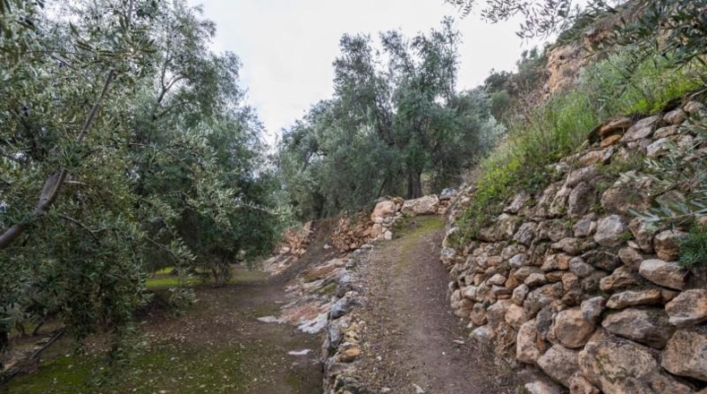 Granada - Pinos del Valle - 9018m2
