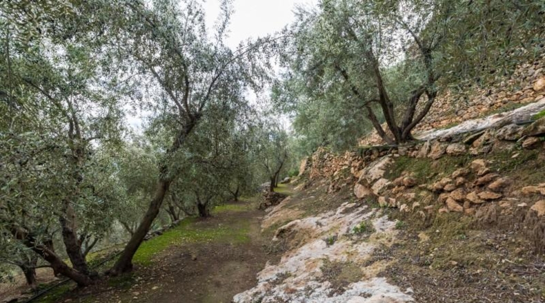 Granada - Pinos del Valle - 9018m2