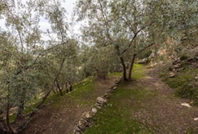 Pinos del Valle 9018&nbsp;m²