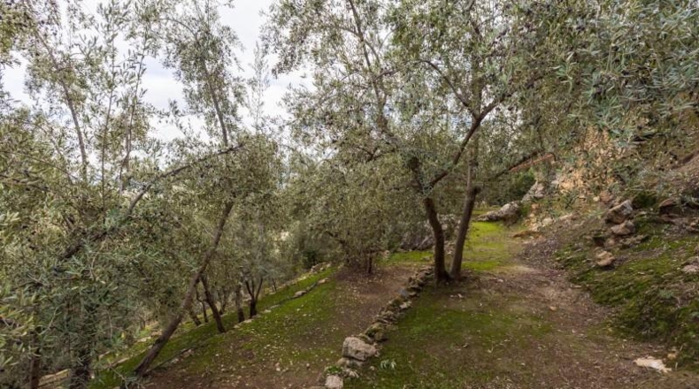 Granada - Pinos del Valle - 9018m2