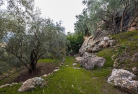 Pinos del Valle 9018&nbsp;m²