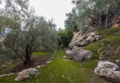 Non-developable land for sale on España, Pinos del Valle, ref: TR413820 photo