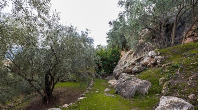 Granada - Pinos del Valle - 9018m2