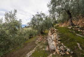 Pinos del Valle 9018&nbsp;m²