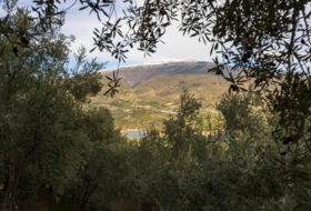 Pinos del Valle 9018&nbsp;m²