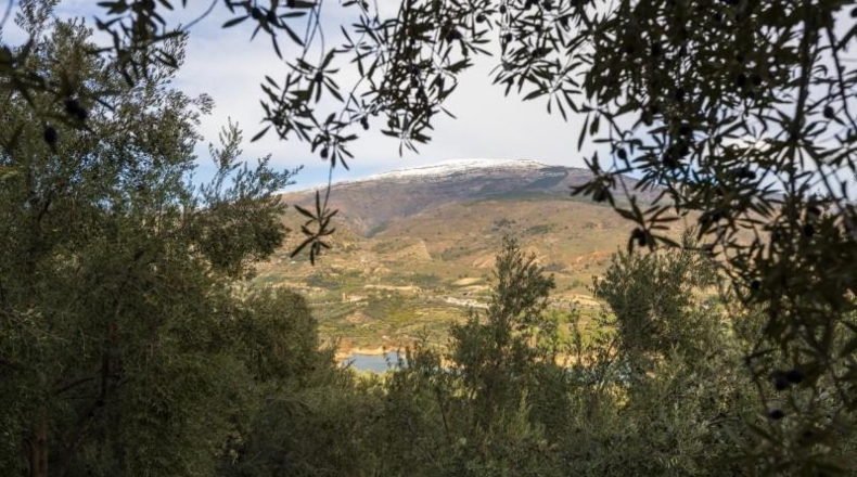 Granada - Pinos del Valle - 9018m2