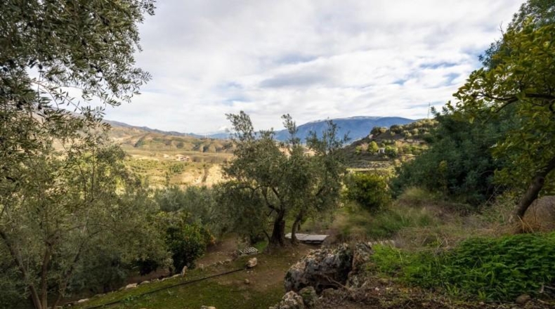 Granada - Pinos del Valle - 9018m2