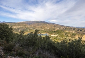 Pinos del Valle 9018&nbsp;m²