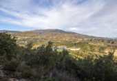 Non-developable land for sale on España, Pinos del Valle, ref: TR413820 photo