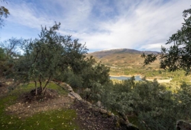 Pinos del Valle 9018&nbsp;m²
