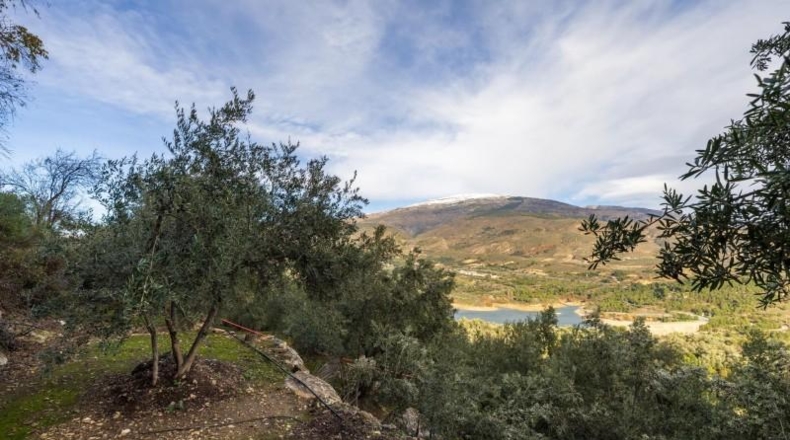 Granada - Pinos del Valle - 9018m2