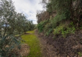 Non-developable land for sale on España, Pinos del Valle, ref: TR413820 photo