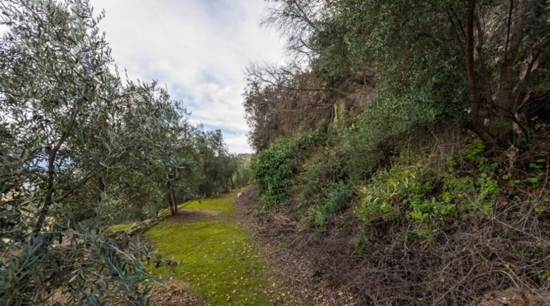 Granada - Pinos del Valle - 9018m2