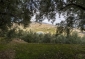 Non-developable land for sale on España, Pinos del Valle, ref: TR413820 photo