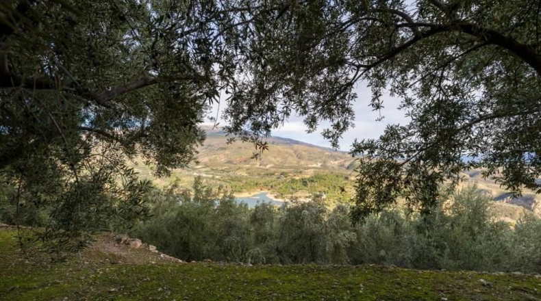 Granada - Pinos del Valle - 9018m2