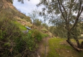 Non-developable land for sale on España, Pinos del Valle, ref: TR413820 photo