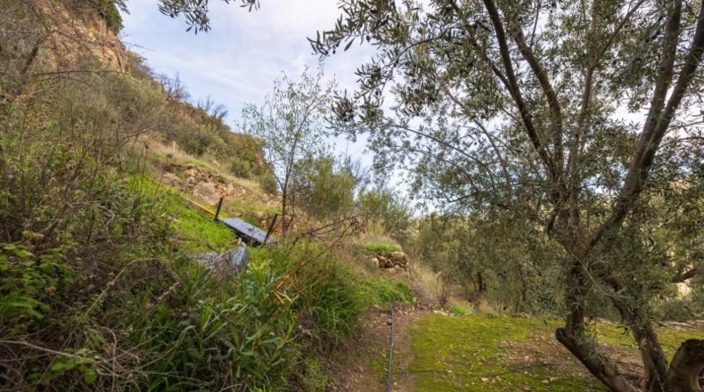 Granada - Pinos del Valle - 9018m2